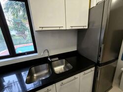 Tanglin Park (D10), Condominium #596204281